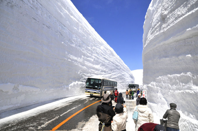 立山黒部アルペンルート「雪の大谷」