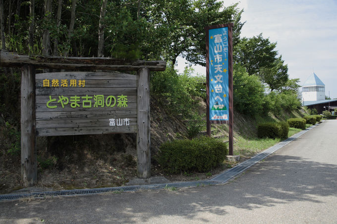 とやま古洞の森 自然活用村（※閉館しました。）