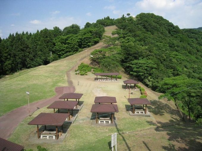 猿倉山森林公園