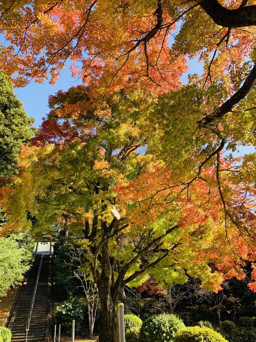 寺家公園