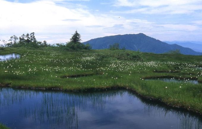 立山弥陀ヶ原・大日平