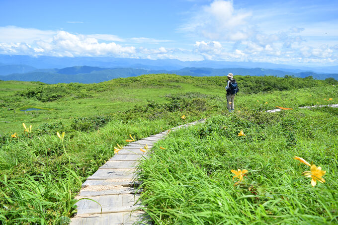 白木峰・白木峰21世紀の森