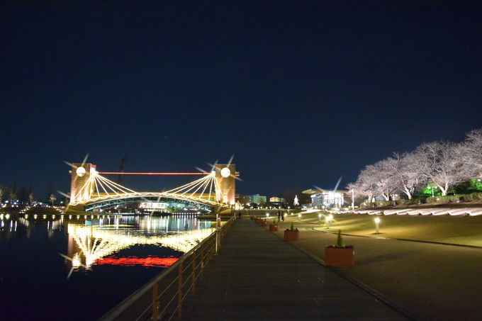 富岩運河環水公園の夜景2