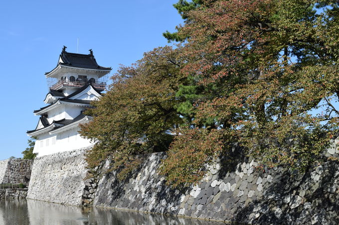 富山城15(秋)