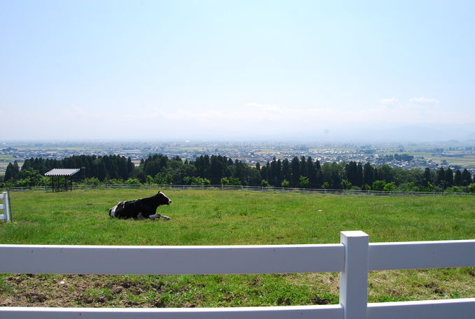 丘の夢牧場