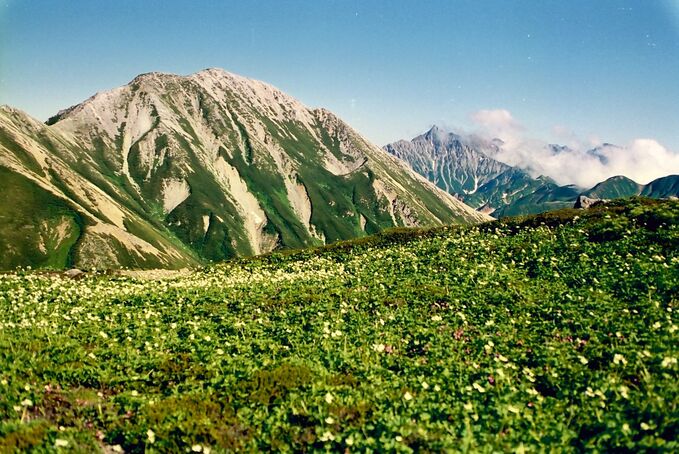 鷲羽岳