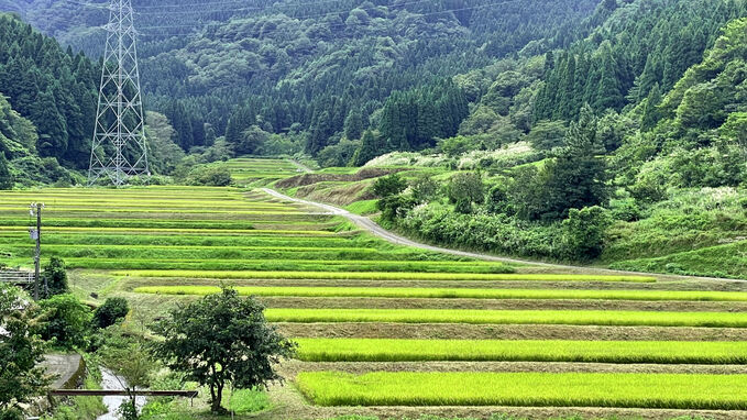 庵谷の棚田1