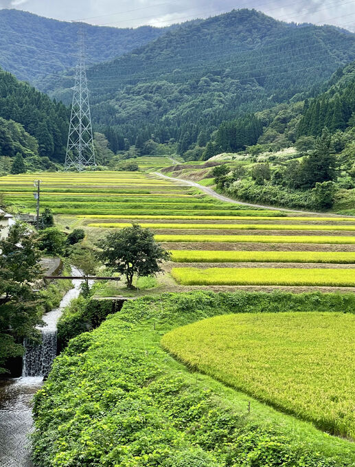 庵谷集落の棚田