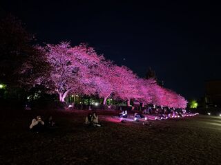 102431_06.jpg 102431_06.jpg