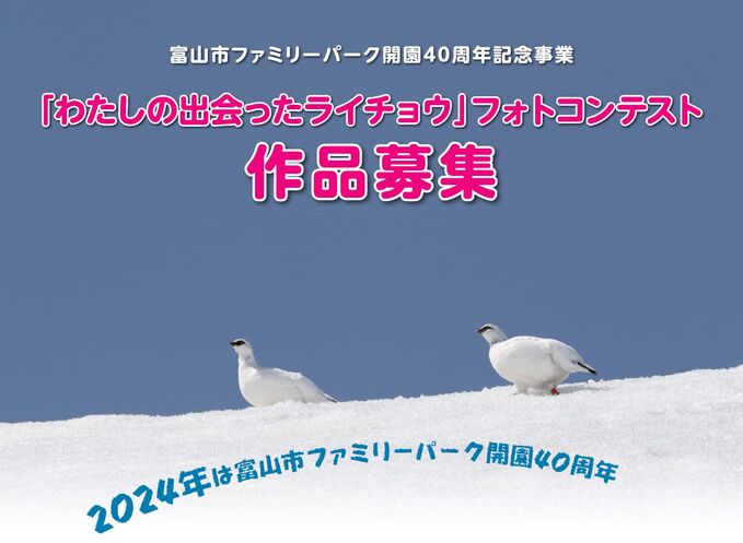 ライチョウのフォトコンテスト作品募集