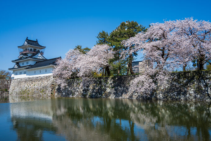 富山城22