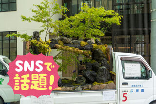 5/11(土)、12(日)話題の『軽トラ庭園コンテスト』(花と緑のフェスティバル)が開催されます。