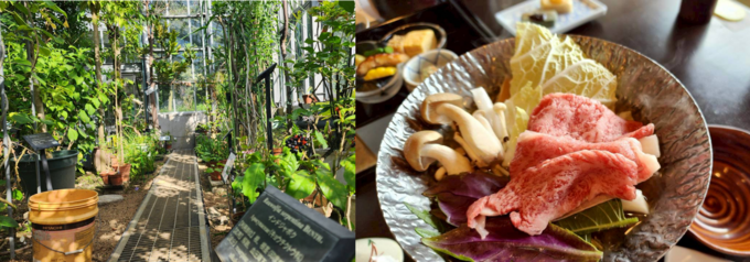 102845_12.png 102845_12.png