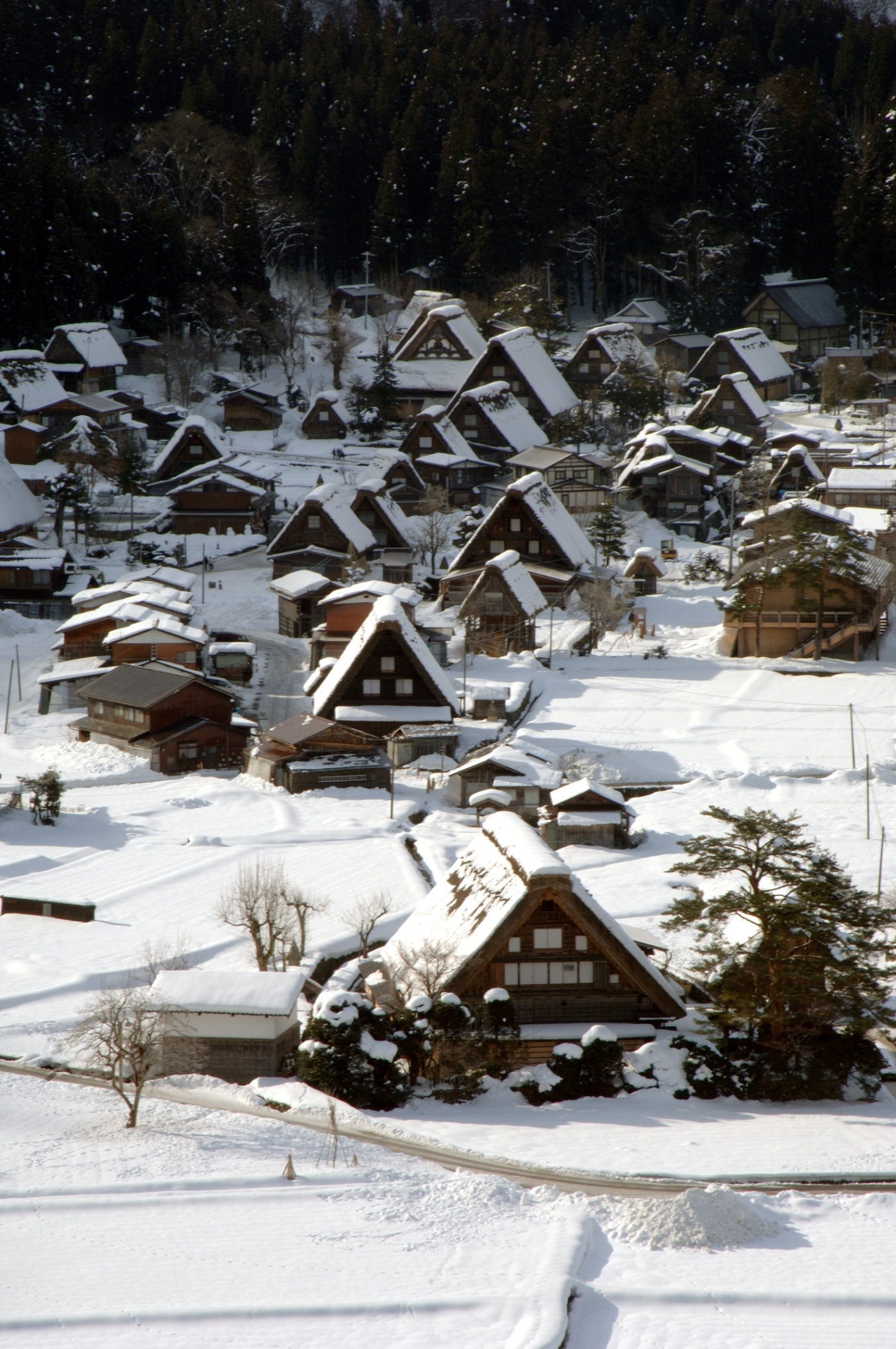 Gokayama & Shirakawa-go Gokayama & Shirakawa-go