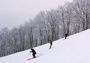 Hakuba