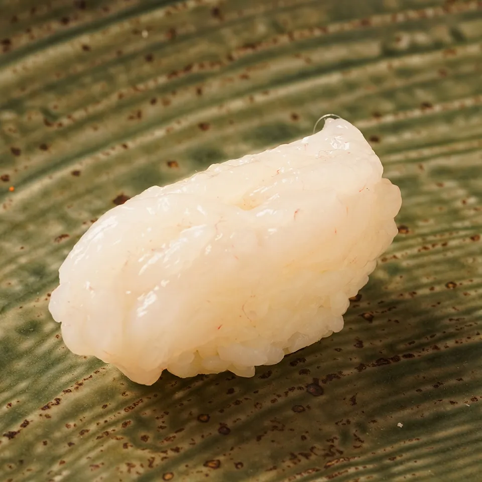White shrimp nigiri