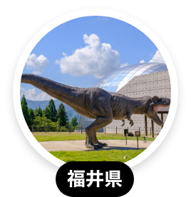 ほたるいかミュージアム