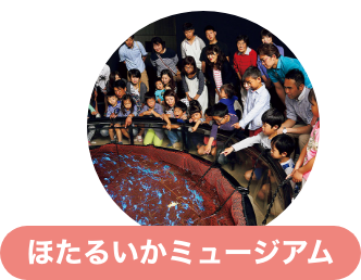 ほたるいかミュージアム