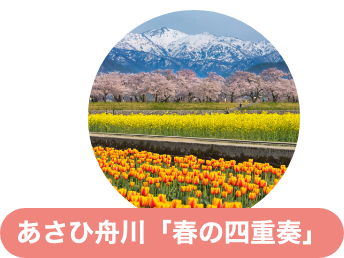 あさひ舟川「春の四重奏」