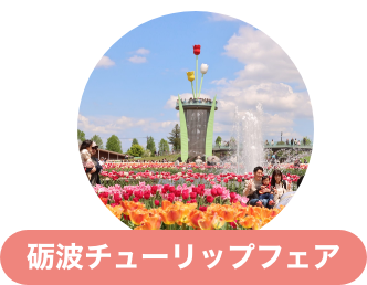 砺波チューリップフェア