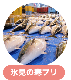 氷見の寒ブリ
