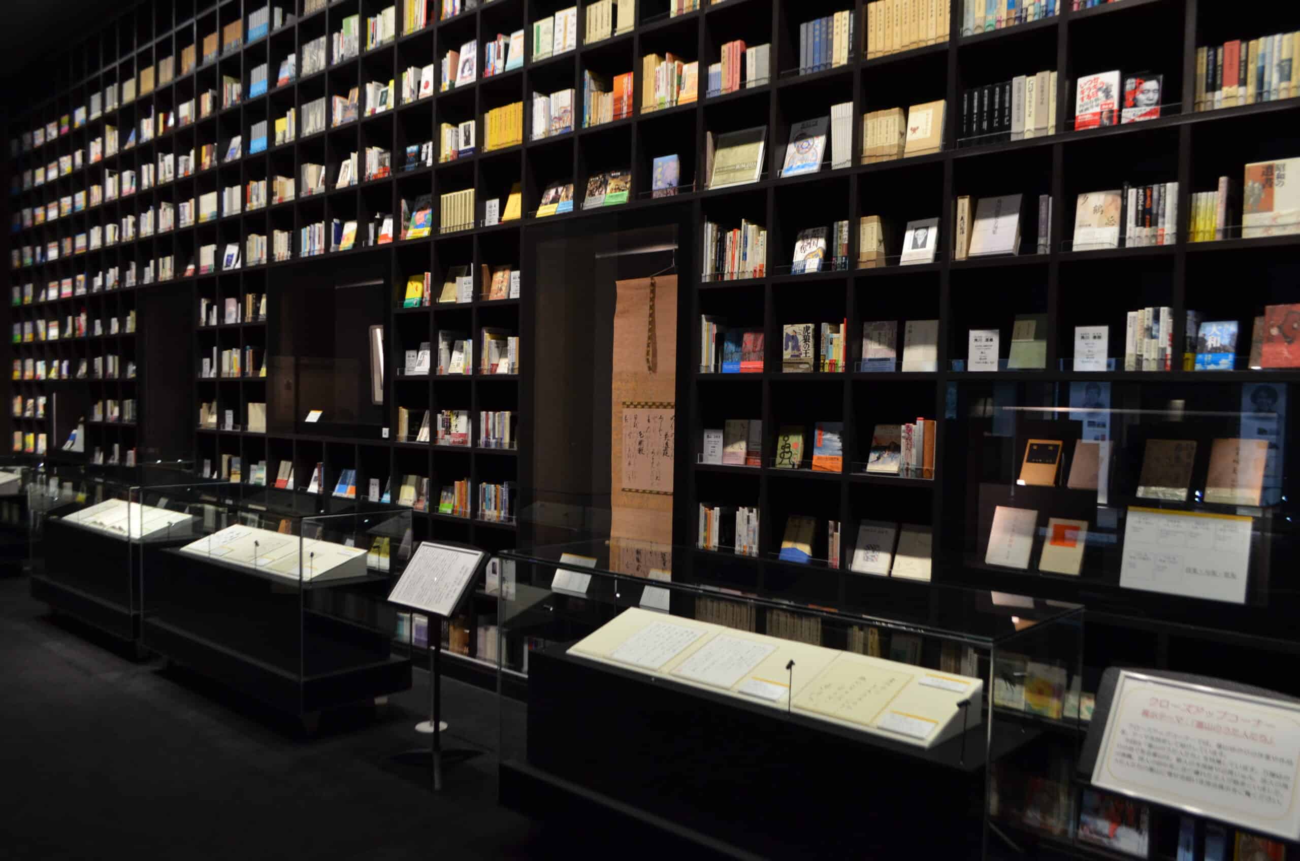 Koshinokuni Museum of Literature