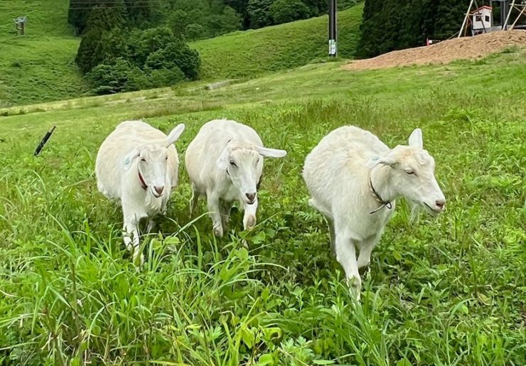 あわすのスキー場駐車場