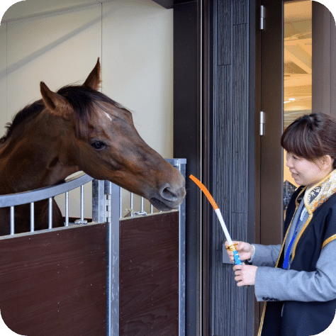 Feeding experience