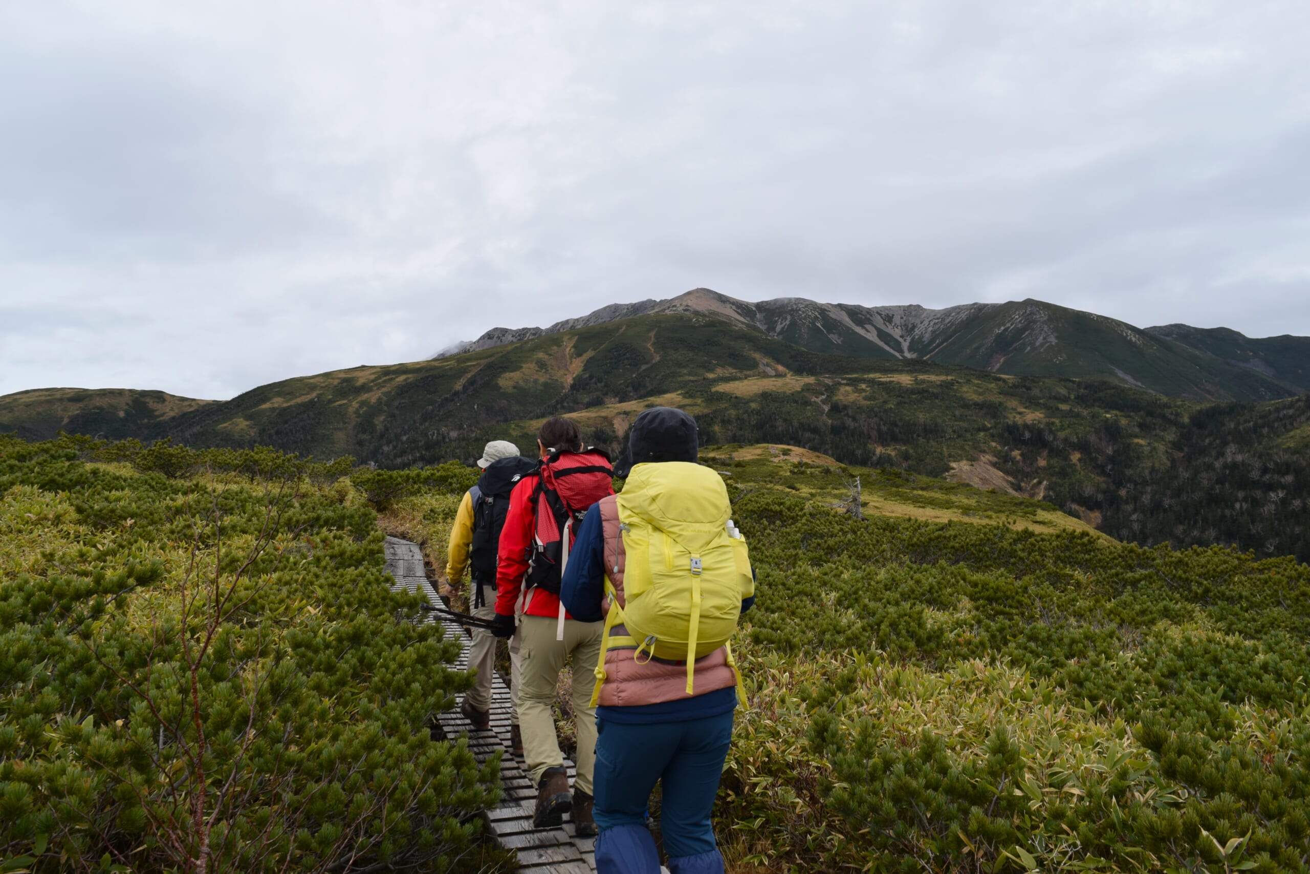 [Day 2] Tarohei Hut