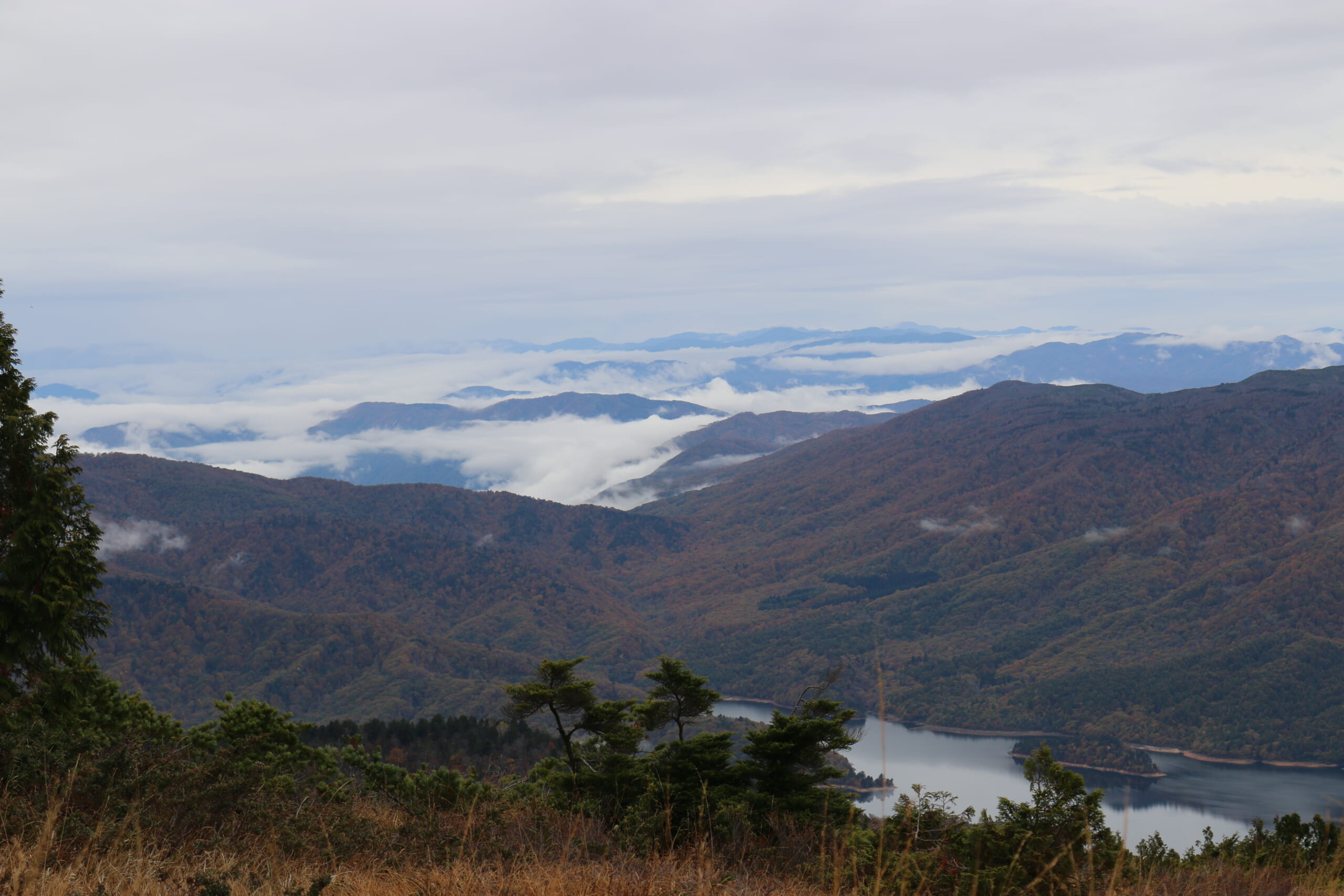五光岩ベンチ