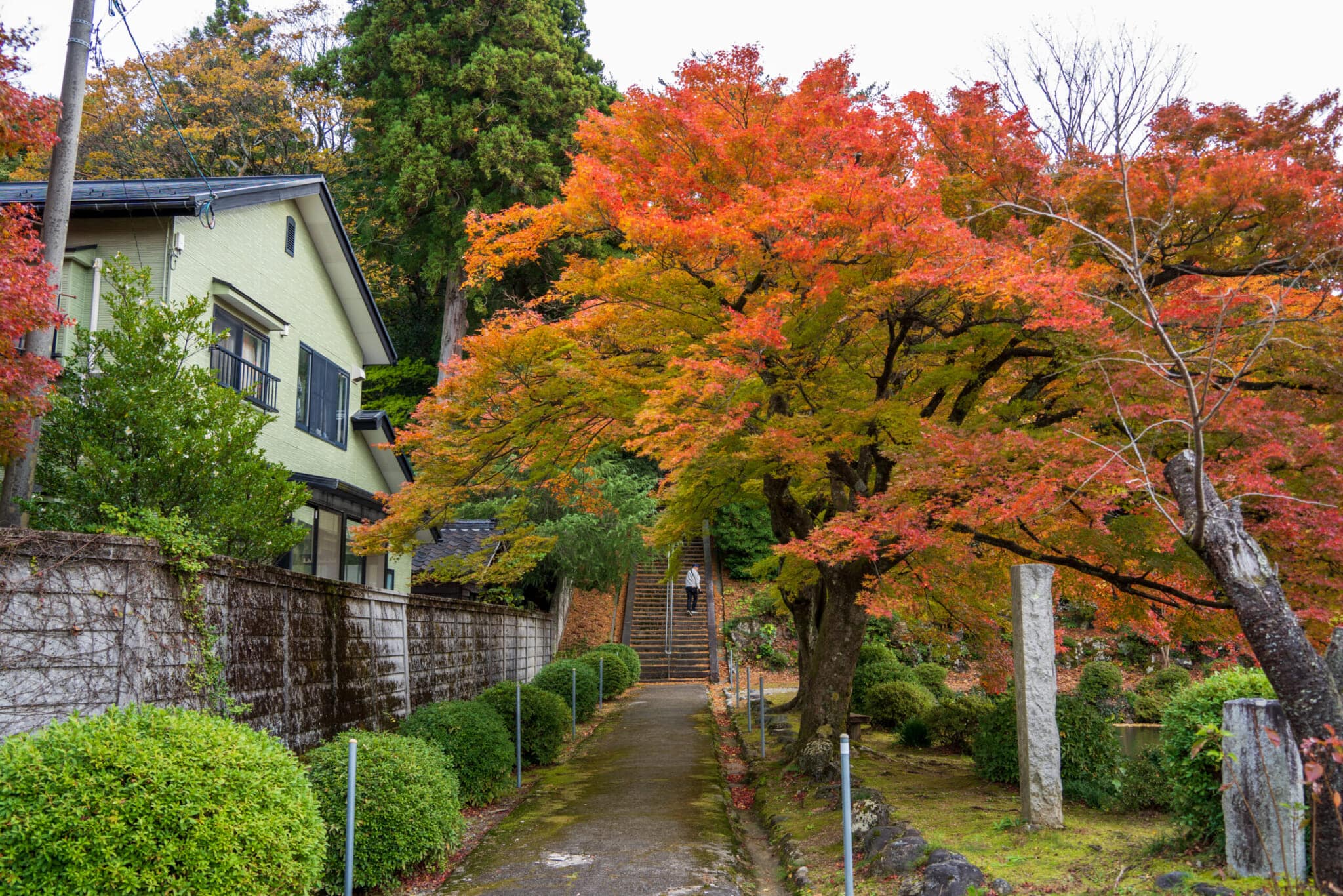 猿倉山森林公園キャンプ場の場内の写真