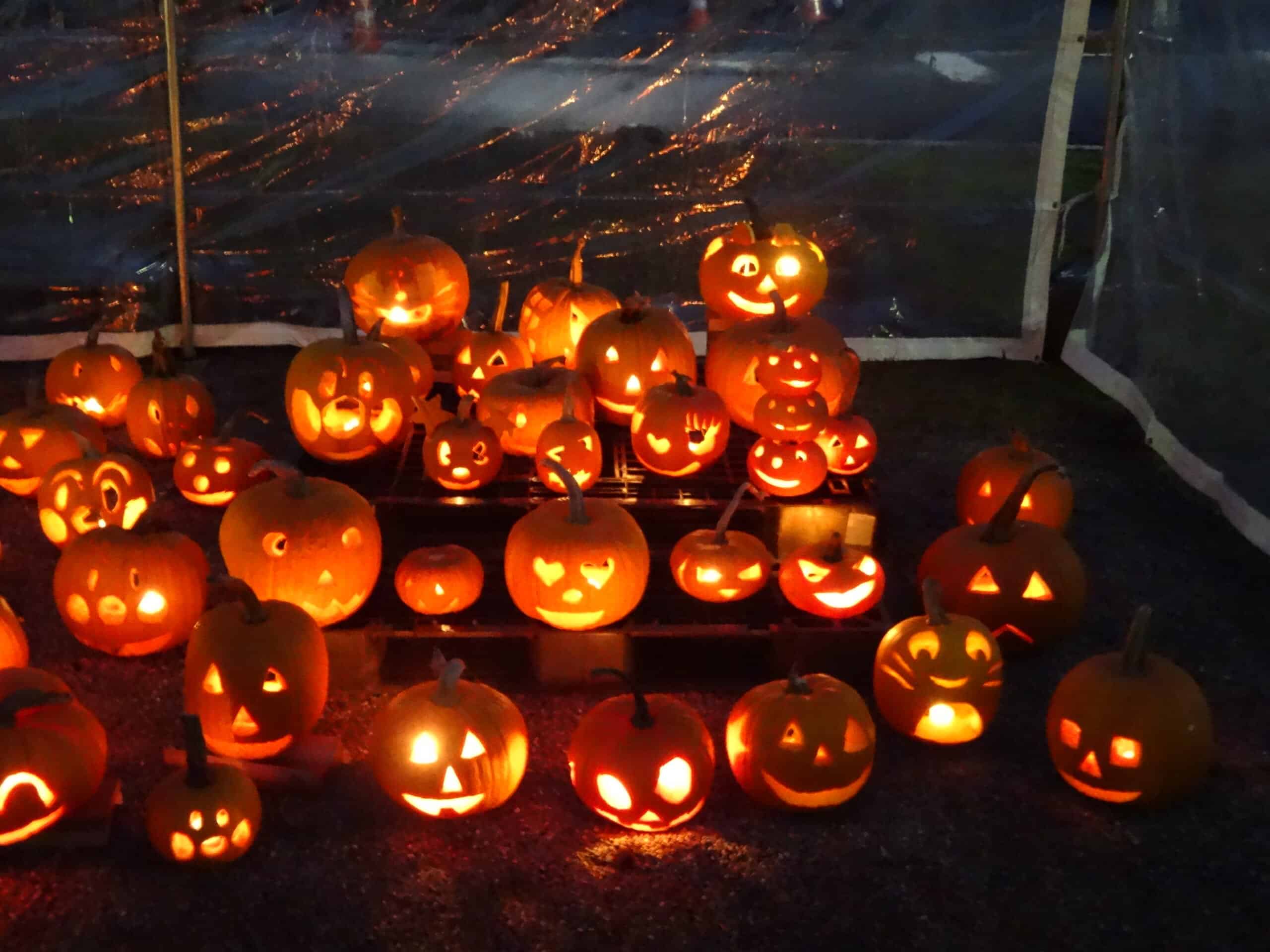 Happy Halloween in Osawa no Hosoiri 2026 - Toyama City Tourism