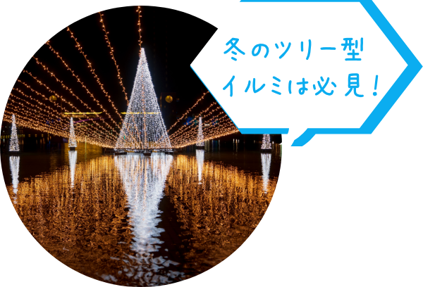 冬のツリー型イルミは必見！