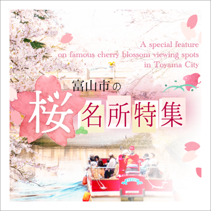 富山市 ”桜” の名所特集
