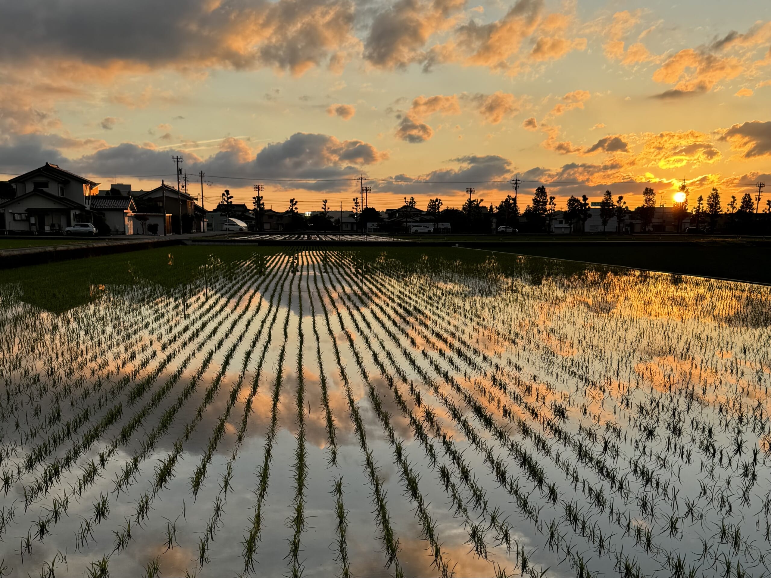 ６月の富山市