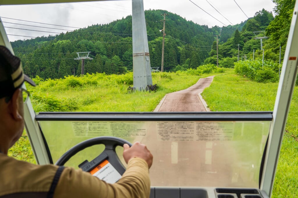 Enjoy the greenery to the fullest! Green season at the foot of Mt. Tateyama